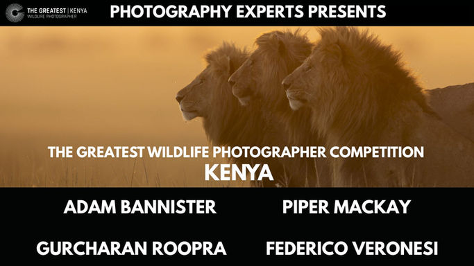 The Greatest Wildlife Photographer - Kenya